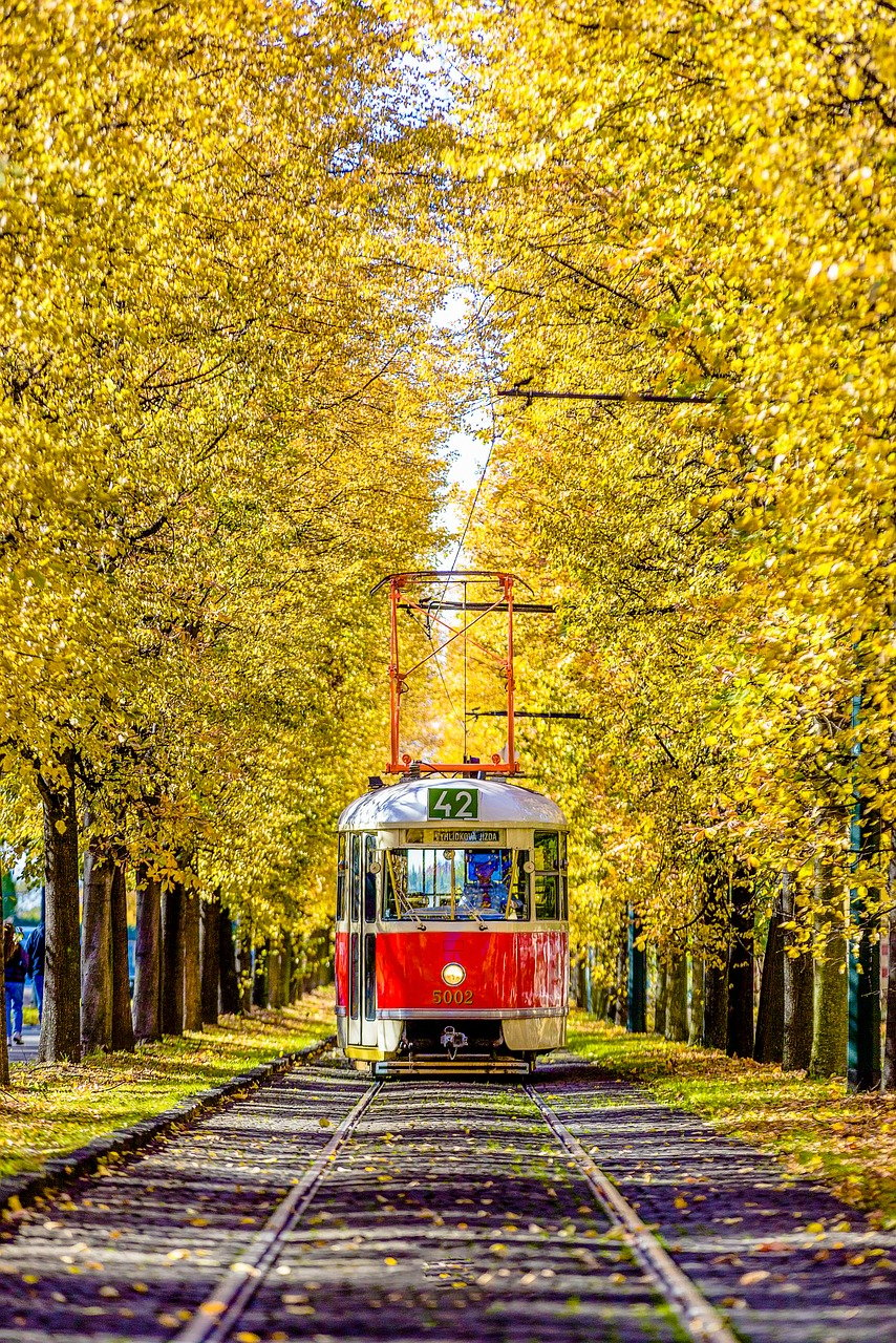 Mehr über den Artikel erfahren Reise durch die Zeit / Juli 2019