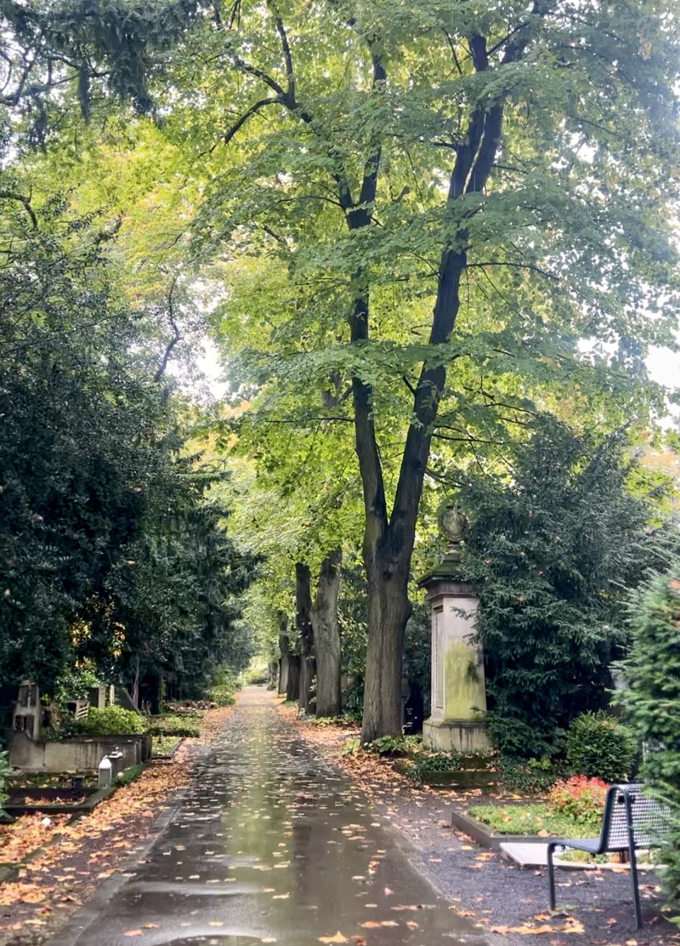 Mehr über den Artikel erfahren Melatenfriedhof / Oktober 2024